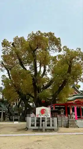 長瀨神社(大阪府)