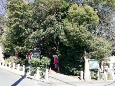 柏諏訪神社のその他建物