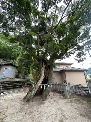 大治社・疫神社(広島県)