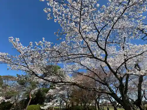 陸奥国分寺薬師堂の{uncategorized: "未分類", other: "その他", undefined: "問題あり", building: "その他建物", grave: "お墓", sacred_gate: "鳥居", guardian: "狛犬", statue: "像", buddha: "仏像", history: "歴史", nature: "自然", garden: "庭園", animal: "動物", pagoda: "塔", temizu: "手水舎", mountain_gate: "山門・神門", sanctuary: "本殿・本堂", subordinate: "末社・摂社", art: "芸術", scenery: "景色", jizo: "地蔵", ema: "絵馬", goshuin: "御朱印", omikuji: "おみくじ", items: "授与品その他", amulet: "お守り", goshuincho: "御朱印帳", eats: "食事", festival: "お祭り", votive_dance: "神楽", shichigosan: "七五三参", wedding: "結婚式", experience: "体験その他", initially: "初詣", around: "周辺", anti_infection: "感染症対策"}