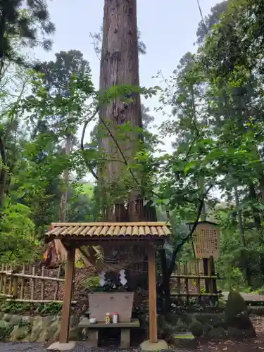 白鳥神社(宮崎県)