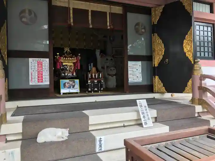 今戸神社の本殿・本堂