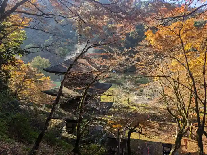 金剛院(京都府)