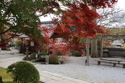 大渕寺の庭園