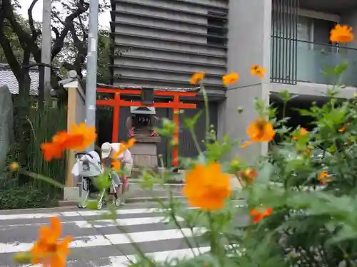 新井薬師（梅照院）の鳥居