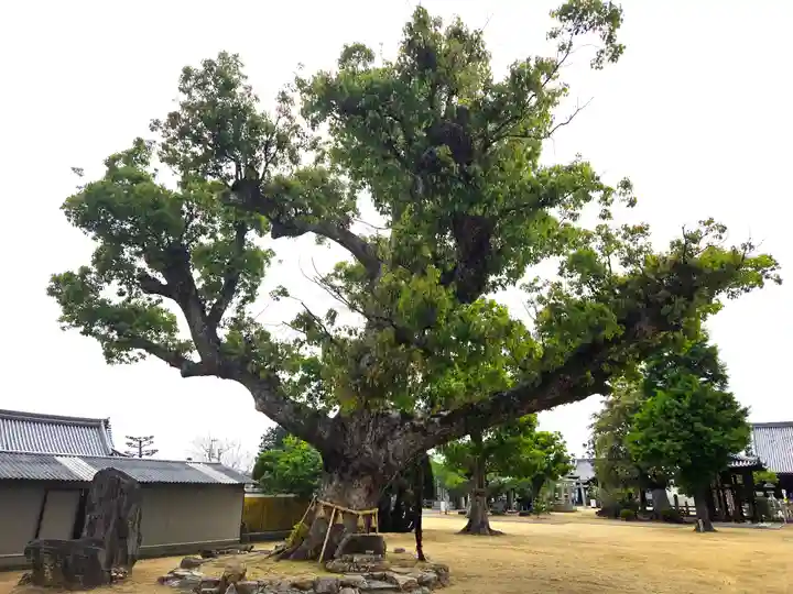 金倉寺(香川県)