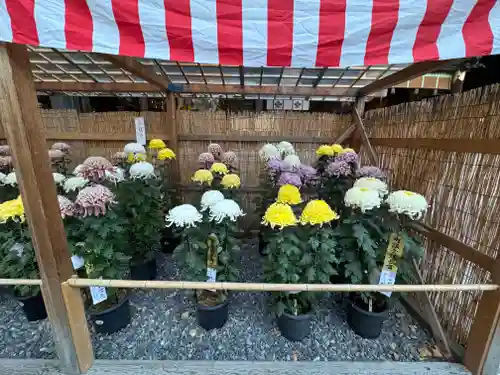 諏訪大社下社秋宮(長野県)