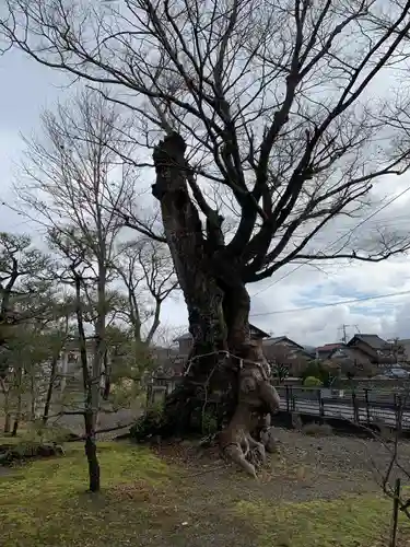 日枝神社(滋賀県)