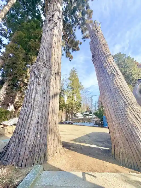 熊野神社の{uncategorized: "未分類", other: "その他", undefined: "問題あり", building: "その他建物", grave: "お墓", sacred_gate: "鳥居", guardian: "狛犬", statue: "像", buddha: "仏像", history: "歴史", nature: "自然", garden: "庭園", animal: "動物", pagoda: "塔", temizu: "手水舎", mountain_gate: "山門・神門", sanctuary: "本殿・本堂", subordinate: "末社・摂社", art: "芸術", scenery: "景色", jizo: "地蔵", ema: "絵馬", goshuin: "御朱印", omikuji: "おみくじ", items: "授与品その他", amulet: "お守り", goshuincho: "御朱印帳", eats: "食事", festival: "お祭り", votive_dance: "神楽", shichigosan: "七五三参", wedding: "結婚式", experience: "体験その他", initially: "初詣", around: "周辺", anti_infection: "感染症対策"}