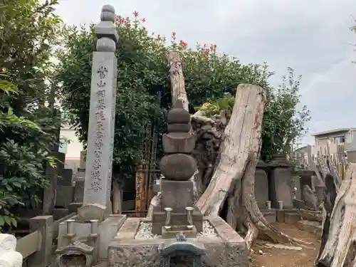 萬福寺の塔