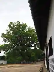 白鳥神社の建物その他