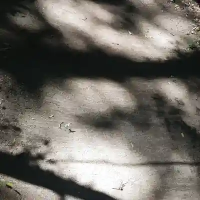 沼尾神社(茨城県)