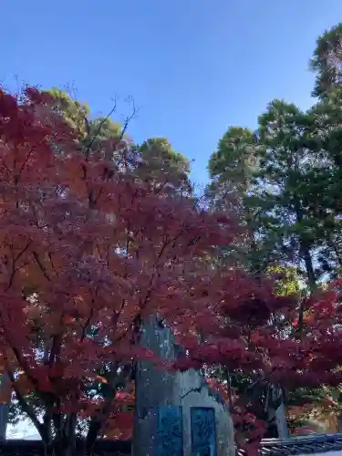 酬恩庵一休寺(京都府)