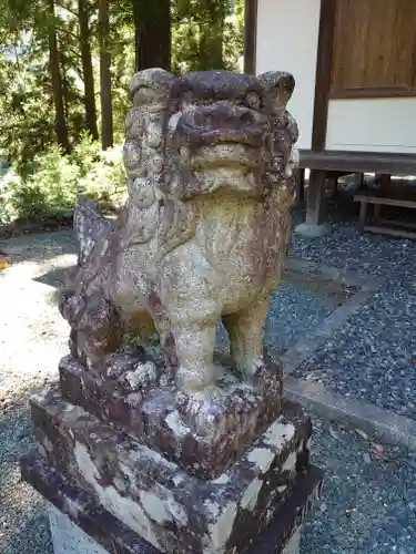 奥泉大井神社の狛犬