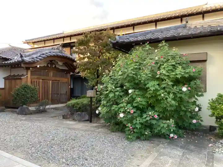 清源寺(東京都)