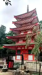 新倉富士浅間神社(山梨県)