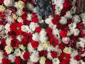 札幌諏訪神社の手水舎(2021年12月15日(水) 09時14分30秒投稿)