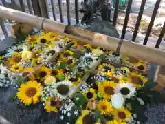 豊平神社の手水