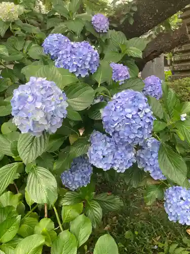 妙楽寺(神奈川県)