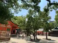住吉神社の自然