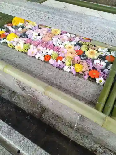 竹駒神社(宮城県)