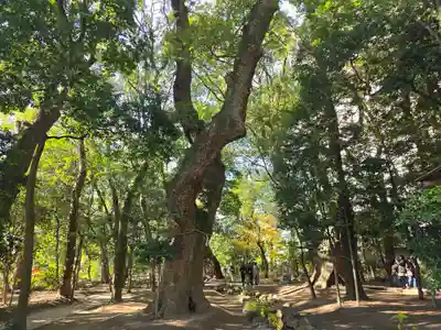 生田神社(兵庫県)