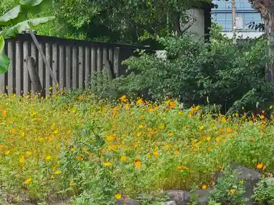 東京羽田 穴守稲荷神社(東京都)
