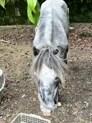 大石神社(京都府)