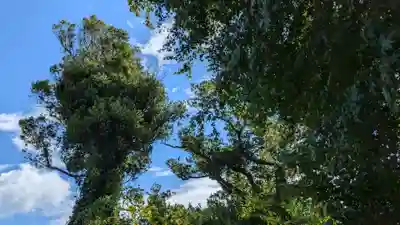 金比羅宮(千葉県)