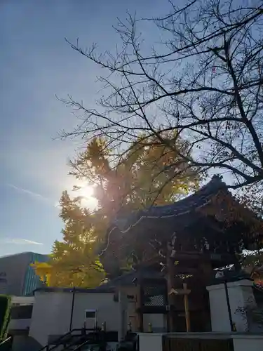 善福寺(東京都)