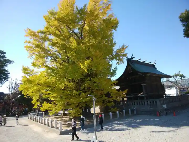 葛飾八幡宮(千葉県)