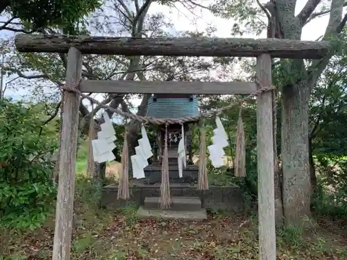 尾骨神社の鳥居