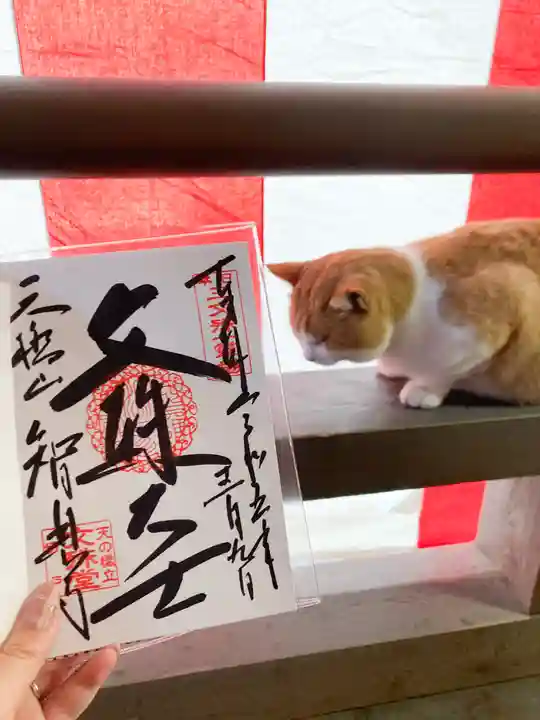 智恩寺(京都府)