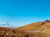 箱根元宮(神奈川県)