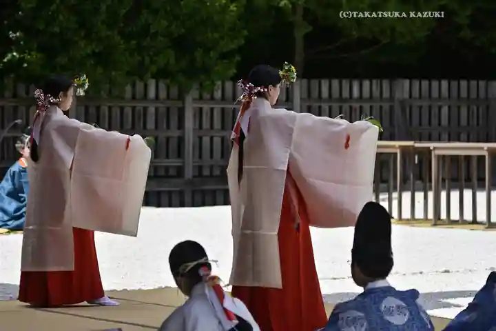 阿佐ヶ谷神明宮(東京都)