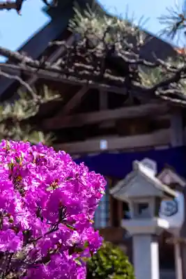 亀田龍神社(北海道)