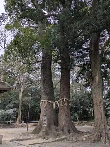 男神社(大阪府)