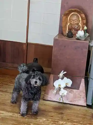 千蔵寺(神奈川県)