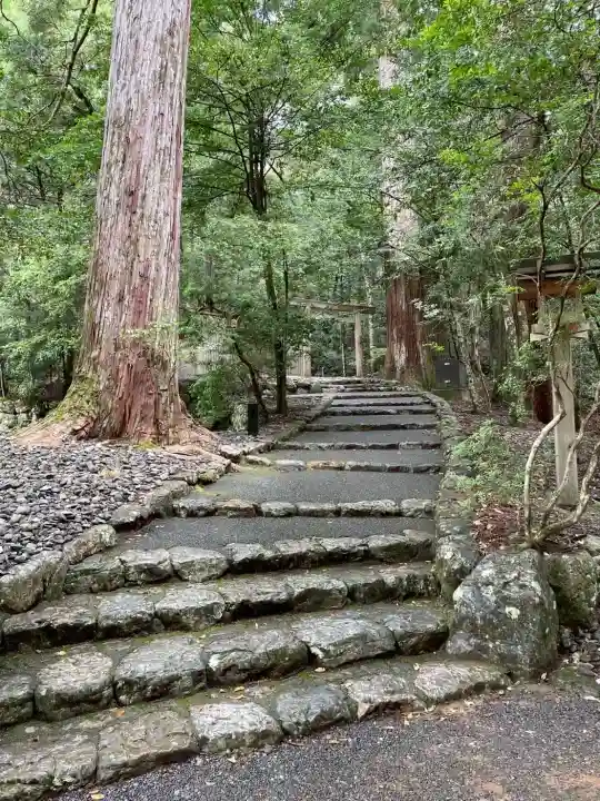 瀧原宮(皇大神宮別宮)の{uncategorized: "未分類", other: "その他", undefined: "問題あり", building: "その他建物", grave: "お墓", sacred_gate: "鳥居", guardian: "狛犬", statue: "像", buddha: "仏像", history: "歴史", nature: "自然", garden: "庭園", animal: "動物", pagoda: "塔", temizu: "手水舎", mountain_gate: "山門・神門", sanctuary: "本殿・本堂", subordinate: "末社・摂社", art: "芸術", scenery: "景色", jizo: "地蔵", ema: "絵馬", goshuin: "御朱印", omikuji: "おみくじ", items: "授与品その他", amulet: "お守り", goshuincho: "御朱印帳", eats: "食事", festival: "お祭り", votive_dance: "神楽", shichigosan: "七五三参", wedding: "結婚式", experience: "体験その他", initially: "初詣", around: "周辺", anti_infection: "感染症対策"}