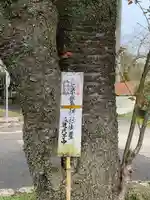 素鵞神社(茨城県)