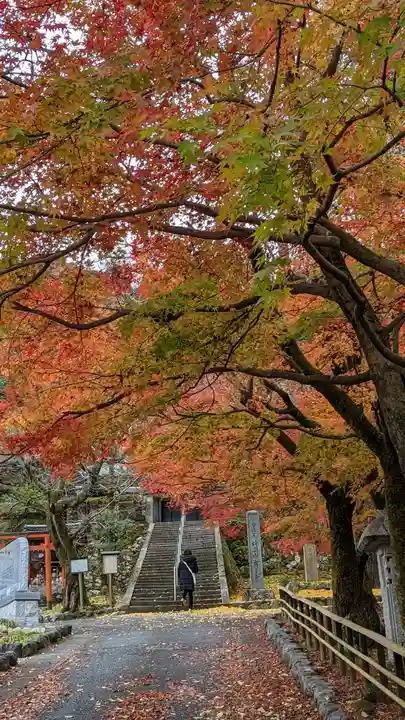 岩屋寺(京都府)