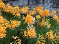 横浜 西方寺(神奈川県)