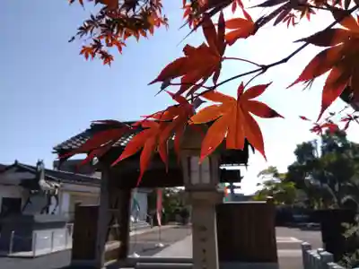 總社 和田八幡宮(福井県)