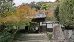 善法律寺(京都府)