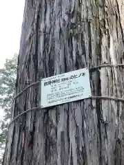 熊野社（南熊野神社）の自然