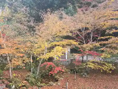 宗鏡寺(兵庫県)