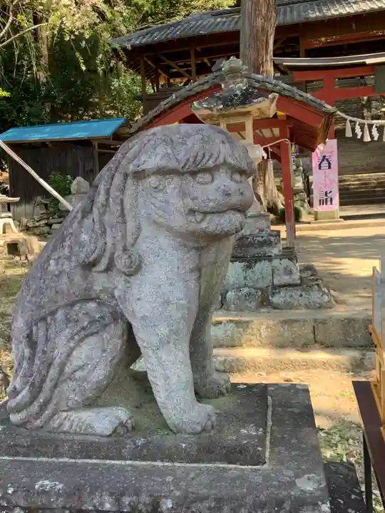 小幡八幡宮の狛犬