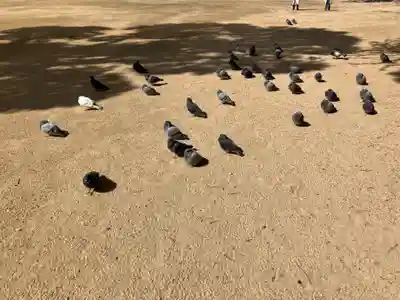 長田神社(兵庫県)