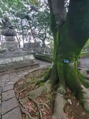 喜多院(埼玉県)