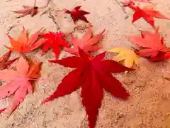 滑川神社 - 仕事と子どもの守り神の自然